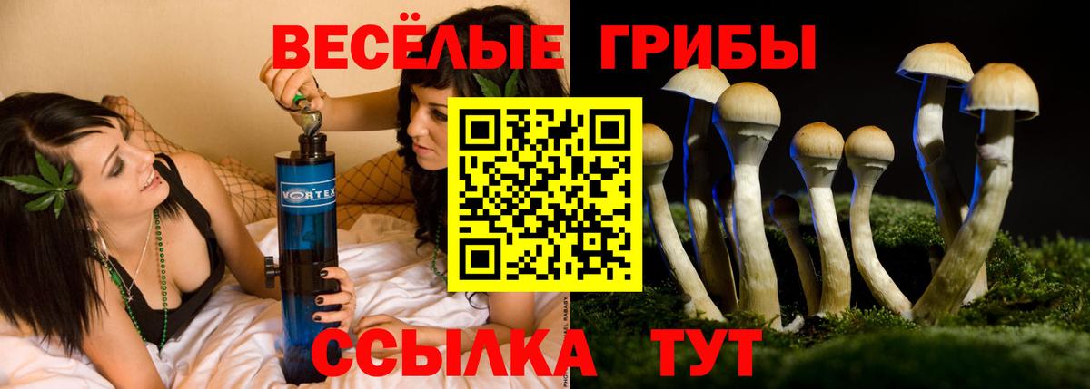 Галлюциногенные грибы Cubensis Добрянка